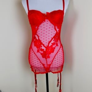 Daisy Fuentes Chemise Lingerie Daring Intimates